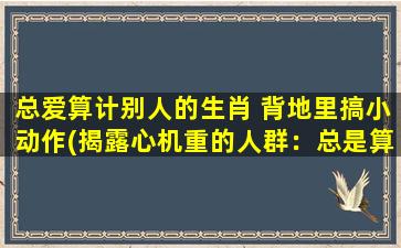 总爱算计别人的生肖 背地里搞小动作(揭露心机重的人群：总是算计他人的生肖和背地里的小动作)